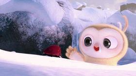 娱乐日常吃瓜视频